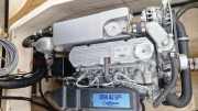 Primeur 700